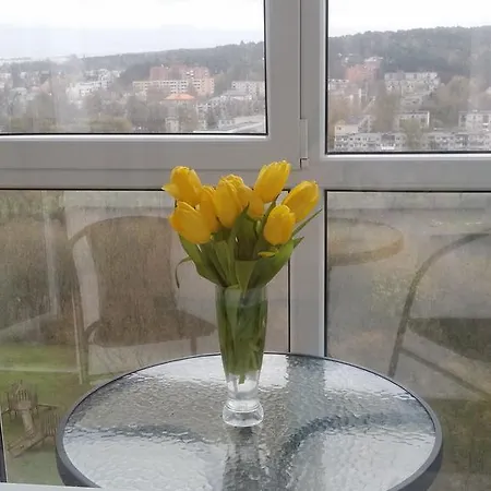River View Apartamento Vilna